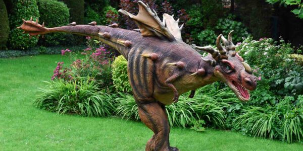 Walkabout-Dragon-Act