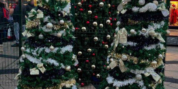 Walking-Christmas-Tree-Performers-Shopping-Precinct