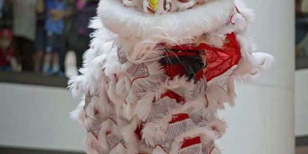 White-Chinese-Lion-Dancer