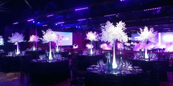 Beautiful white tree table centrepieces for hire for events.