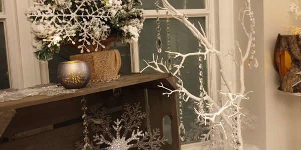 White christmas Tree Forest