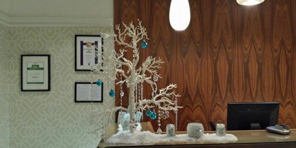 Winter Wonderland Themed Trees and Ornaments