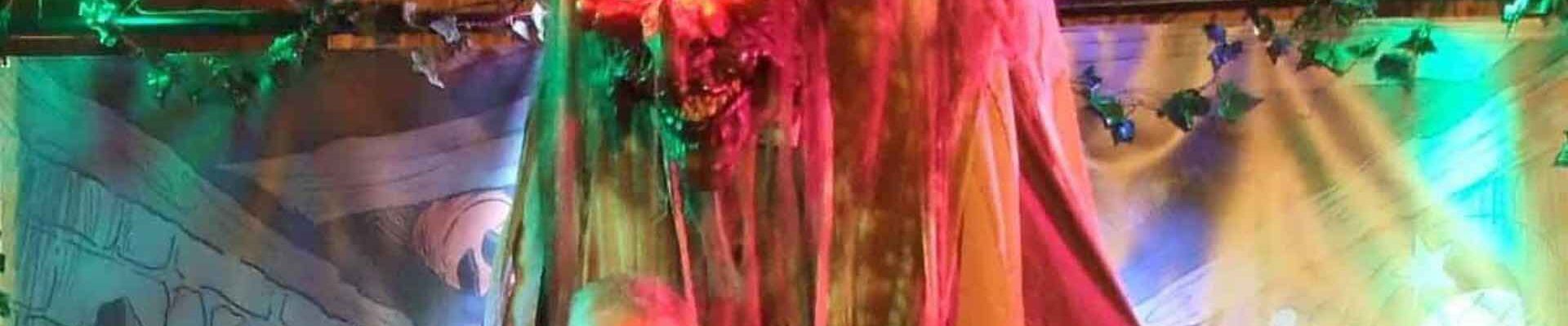 Witch-Halloween-Performer-With-Guests Witch-Halloween-Performer-With-Guests