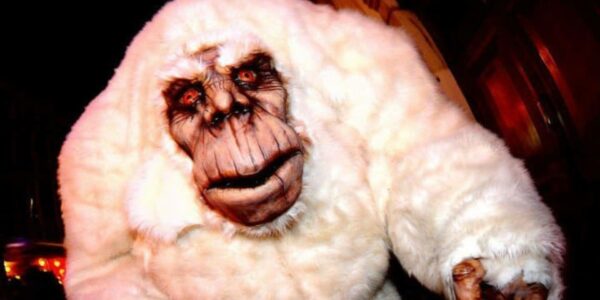 Yeti-Character-For-Hire
