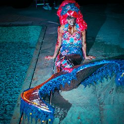 Unusual meet and greet act available to book for private events in London and the UK