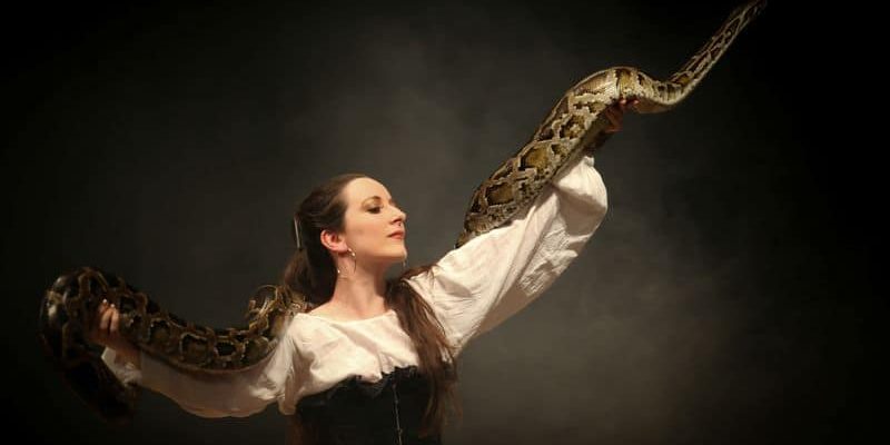 snake charmer snake charmer