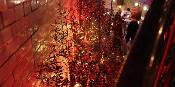 Luxury-LED-Christmas-Trees-Hippodrome-Casino