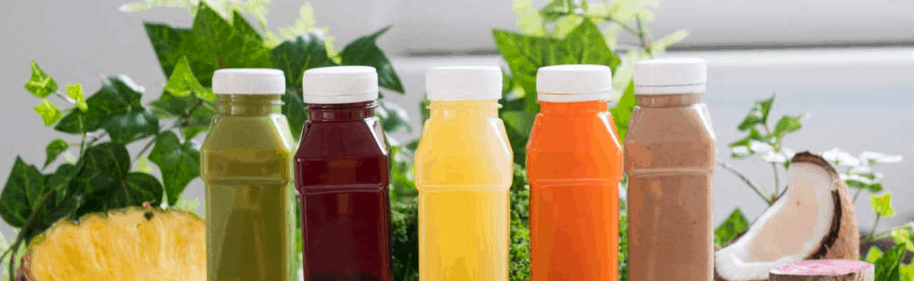 Sustainable-Catering-Service