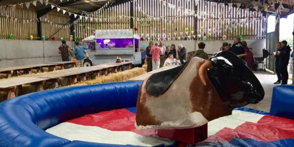 Wild-West-Rodeo-Bull