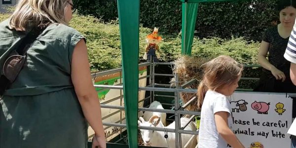 BSH-Fun-Day-Animal-Farm