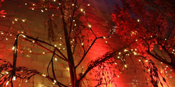 Bespoke-Christmas-Trees-Hippodrome-Casino-London