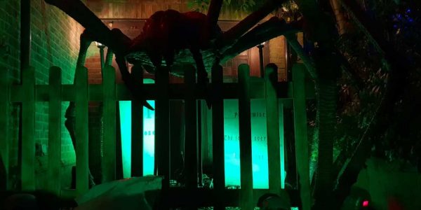 Bespoke-Spider-Prop-Halloween-House-Decoration