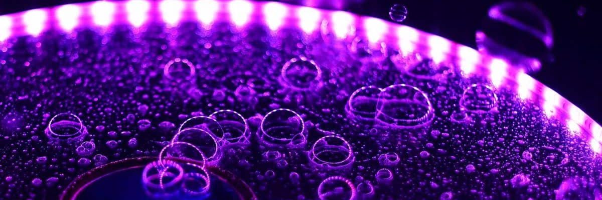 Edible-Molecular-Drops