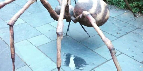 Giant-Spider-Prop-Halloween