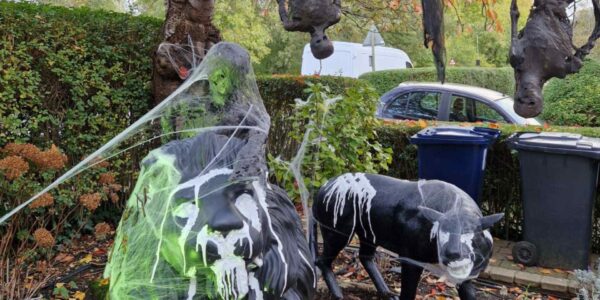 Halloween-House-Dressing-Animals-And-Hanging-Skeleton-Props