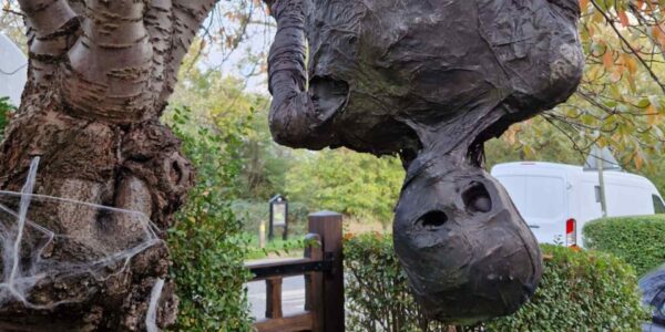Halloween-House-Dressing-Hanging-Skeleton-Prop