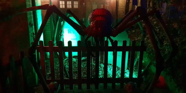 Halloween-House-Dressing-London-Large-Spider-Prop