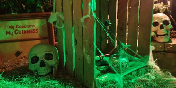 Halloween-House-Dressing-Props-Skulls-Crate-Cobwebs