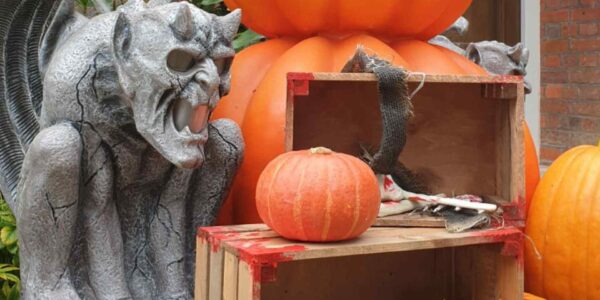 Halloween-House-Dressing-Pumpkins-And-Goblins-Props-Close-Up