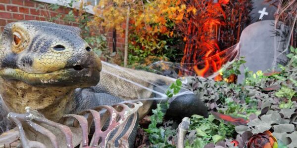 Halloween-House-Dressing-Reptile-In-Overgrowth