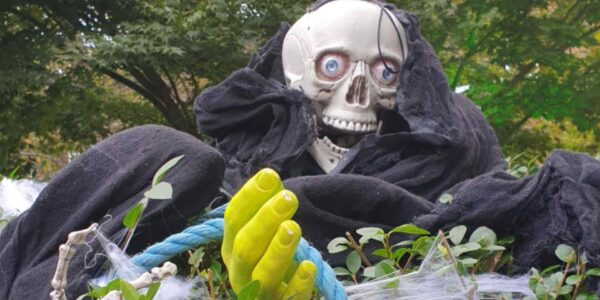 Halloween-House-Dressing-Skeleton-Prop-In-Hedge