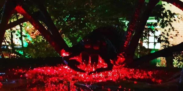 Large-Red-Spider-Prop