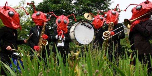 ant orchestra halloween show