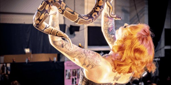 The Greatest Showman Circus Show Snake Charmer