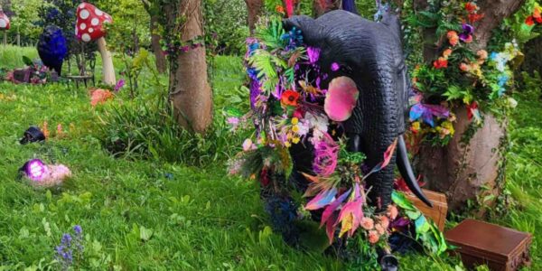 Stunning black elephant prop stood amongst bright colourful flower decoration as part of a jungle themed event outside.