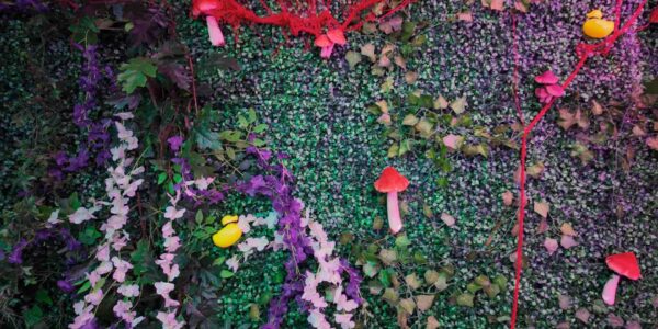 Flower and mushroom props with foliage decorating the interior of a jungle themed event.