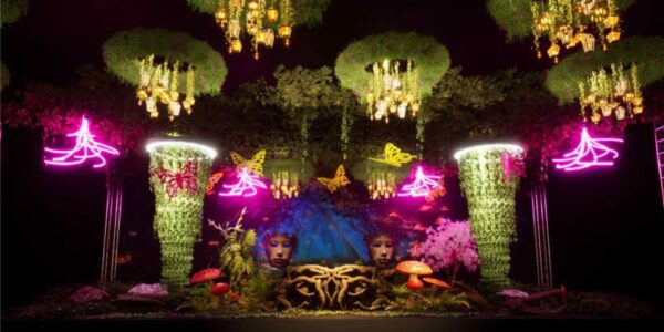 Jungle inspired set and stage design concept.