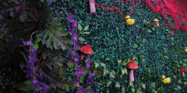 Jungle foliage wall for a jungle themed event.