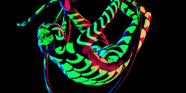 Jungle-Snake-Glow-Aerial-Act