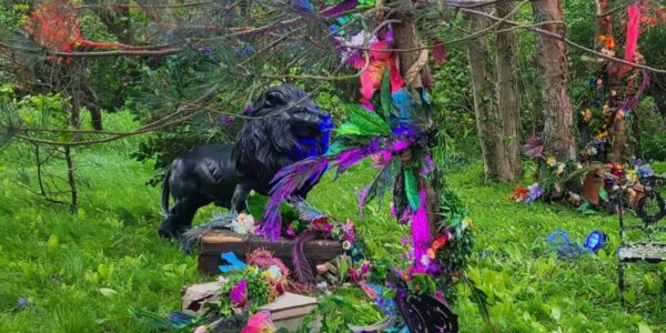 Giant lion prop hidden amongst vibrant foliage at a jungle themed event.