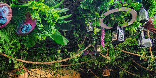 Jungle themed ceiling transformation including vines, props and ornaments.
