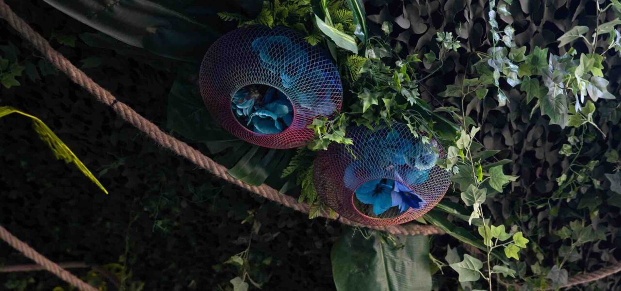 Bespoke decorative venue styling including flowers in cages for jungle event theme.
