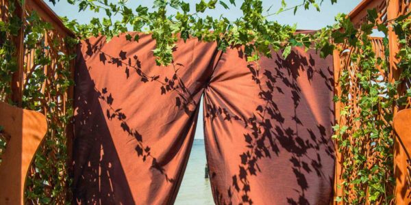 Foliage and vines decorating a jungle themed entrance at luxury event.
