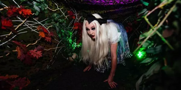 Alice-Crawling-Through-Rabbit-Hole