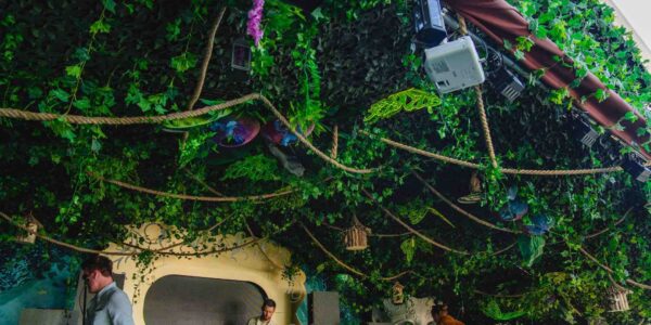 Ceiling decorated with rainforest themed foliage.