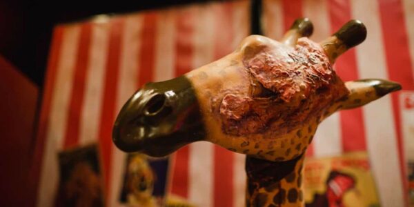 Mauled-Giraffe-Themed-Prop