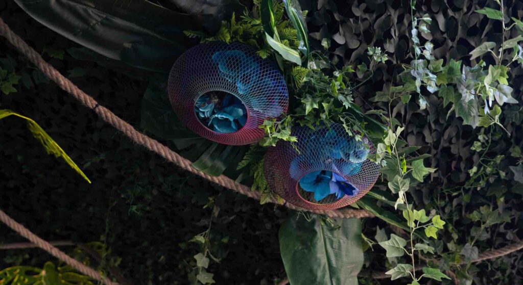 Flowers inside cages at rainforest themed party.