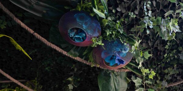 Bespoke decorative venue styling including flowers in cages for jungle event theme.