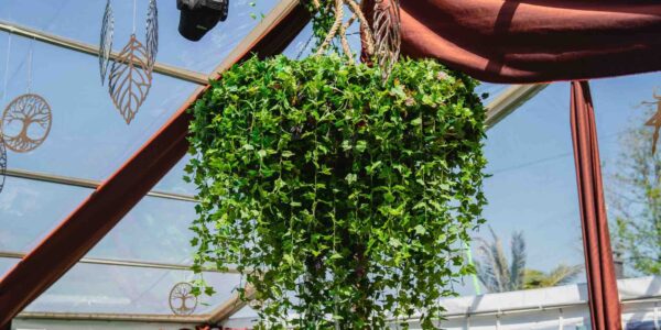 Jungle themed vine chandelier.