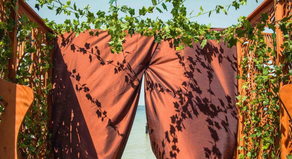 Foliage and vines decorating a jungle themed entrance at luxury event.