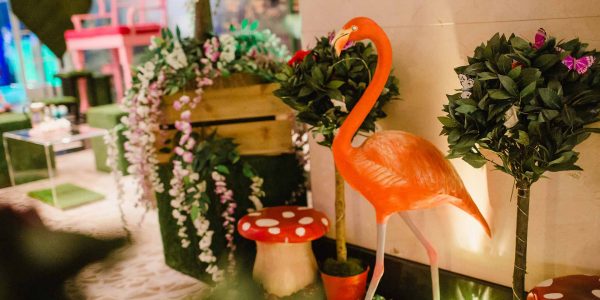Alice In Wonderland Props And Decorations