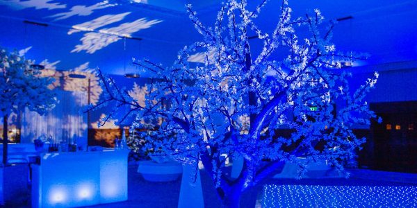 Winter-Wonderland-Christmas-Tree-And-Props
