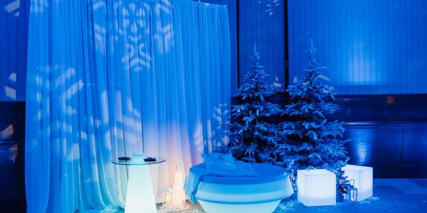 Winter-Wonderland-Party-Planning