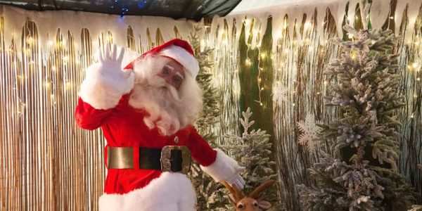 Classic-Christmas-Santa