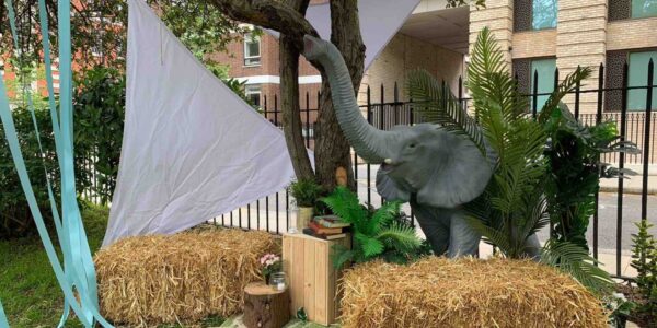 Elephant-Prop-Surrounded-By-Furniture