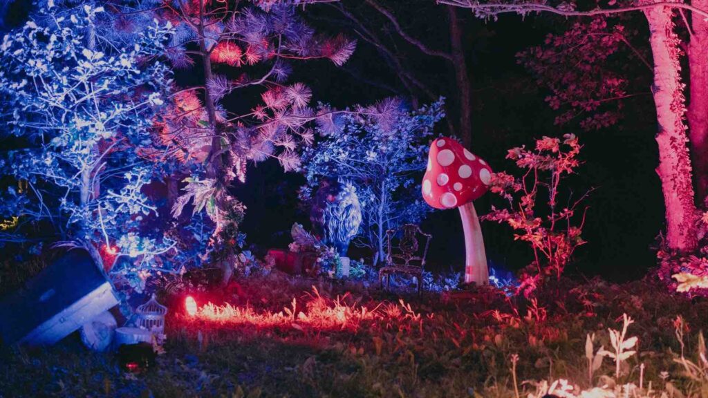 Enchanted Forest at night with red and blue ambient lighting.